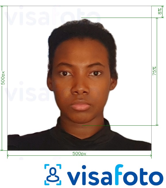 Nuotraukos pavyzdys Kamerūno vizos internete 500x500 px su tikslaus dydžio specifikacija