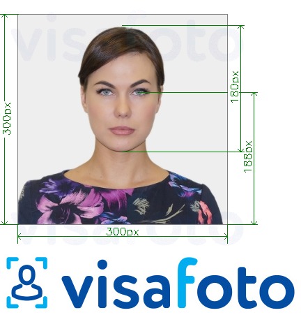 Nuotraukos pavyzdys Pietryčių asmens tapatybės kortelė internete 300x300 px su tikslaus dydžio specifikacija